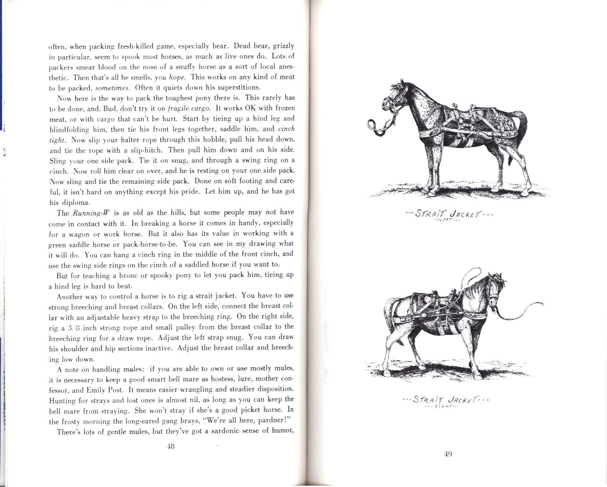 HORSES, HITCHES&nbsp;& ROCKY TRAILS: "the packer's bible". john1669g